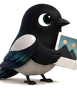 Magpie holding a saved photo